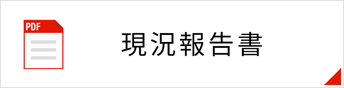  現況報告書（PDFが開きます）